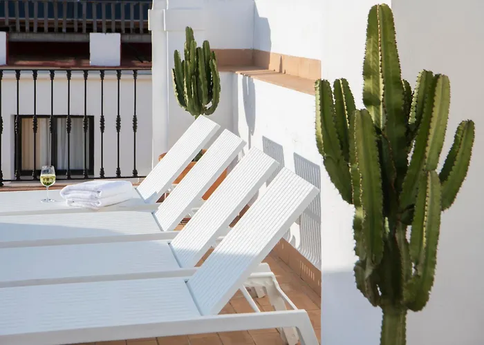 Magno Apartments Almansa